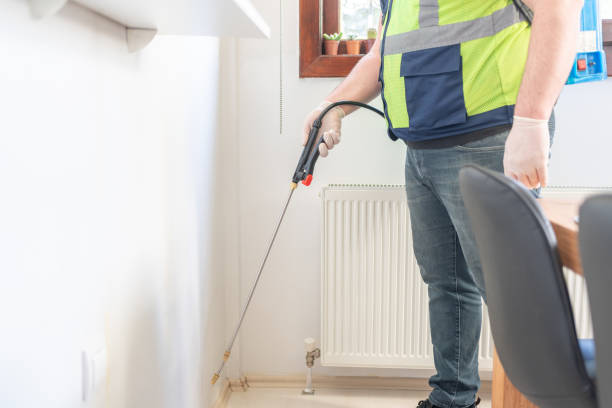 Best Emergency Pest Control  in Manchaca, TX