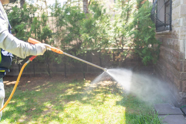 Best Emergency Pest Control  in Manchaca, TX