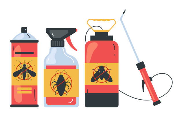 Best Affordable Pest Control Services  in Manchaca, TX