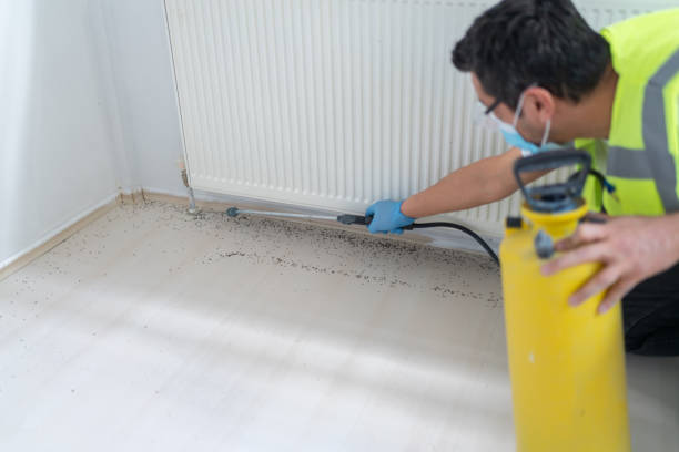 Best Commercial Pest Control Services  in Manchaca, TX