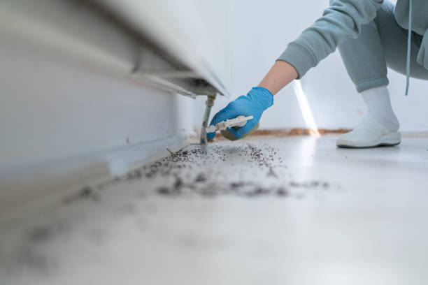 Best Mosquito Control Services  in Manchaca, TX